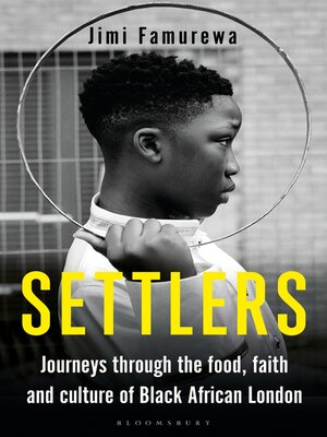 Settlers - ebook
